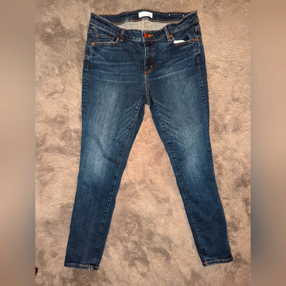 Anne Taylor Loft Skinny Jeans